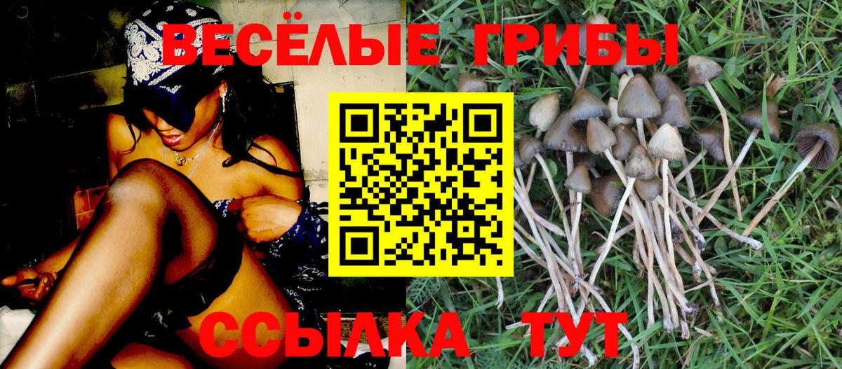 Галлюциногенные грибы ЛСД  Вход с VPN  Грозный  Галлюциногенные грибы ЛСД 